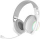 HP VOIP Headset