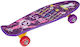 Enero Complete Shortboard