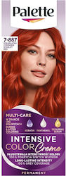 Schwarzkopf Palette Intens Creme Rv6-κατακόκκινο Κόκκινο