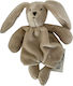 Hencz Plush Bunny