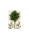 Arti Casa Decorative Artificial Branch Greenery 70cm