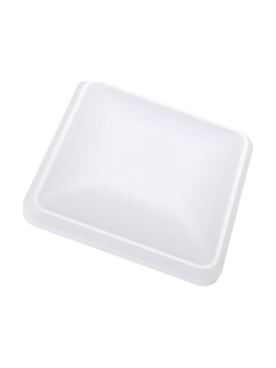 Best Service Ceiling Light