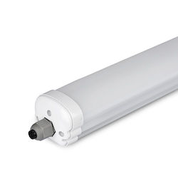 Led Αδιάβροχο Ip65 Φωτιστικό Τύπου Φθορίου 120cm V-tac Cree Vhip Led 36w 4820lm 6500k – 2162846 Led Αδιάβροχο Ip65 Φωτιστικό Τύπου Φθορίου 120cm V-tac Cree Vhip Led 36w 4820lm 6500k – 2162846