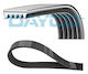 Dayco Ribbed Transmission Belt 5pk1390