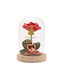 Decorative Lamp