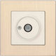 Evripos TV Coaxial Metal Champagne Bassiakos Socket
