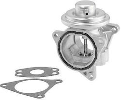 BorgWarner Supapă EGR Motor de mașină BorgWarner Supapă EGR Motor de mașină