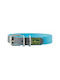 Hunter Convenience Dog Collar Turquoise