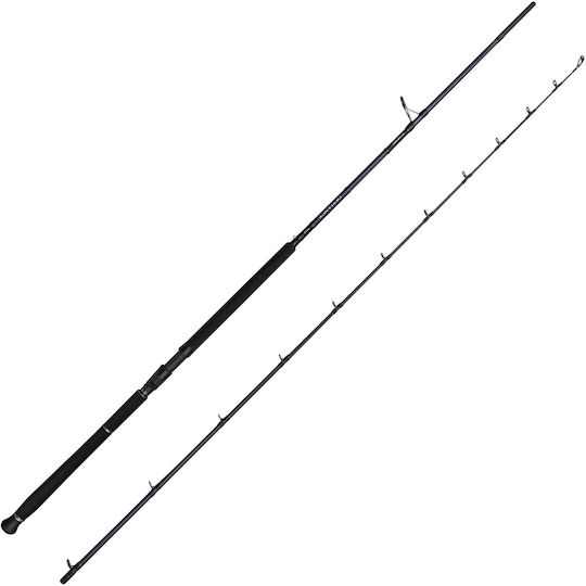 Savage Gear Fishing Rod for Shore Jigging with Reel 2.9m 20-80gr