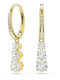 Swarovski Dangle Earrings with Stones
