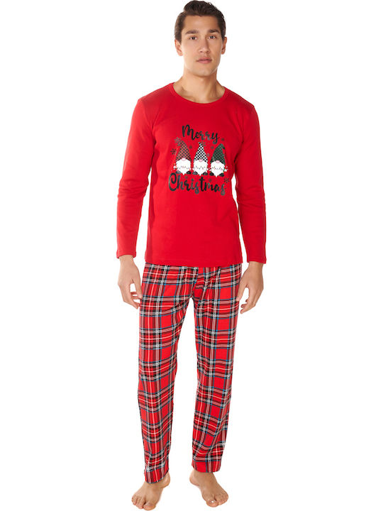 Comfort Red