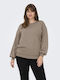 Women's Sweatshirt Brown