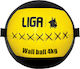 Liga Sport Minge Perete 4kg