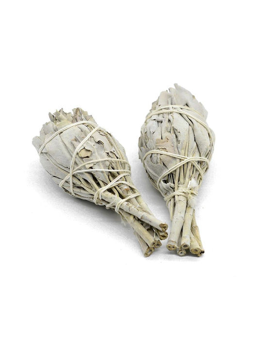 White Sage Smudge Torch 12χ4cm 2 Ραβδιά Θυμιάματος Λευκό Φασκόμηλο