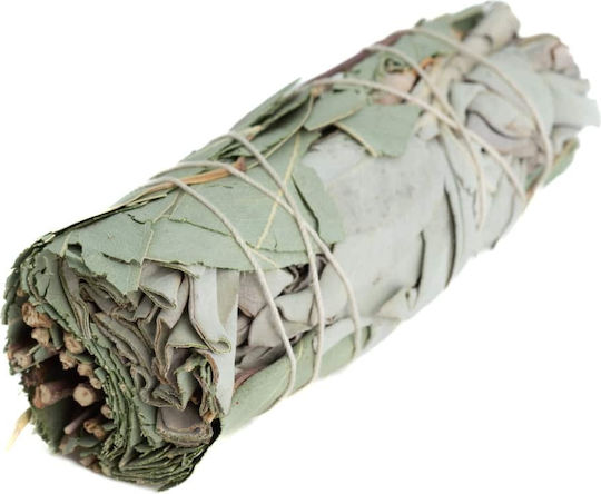 White Sage Eucalyptus Smudge Stick 10x3cm Incense Stick Sage Eucalyptus