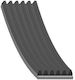 Dynamo Belt 6pkx1735 BMW E46 M43