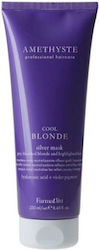 Farmavita Amethyste Mască De Păr 250ml Farmavita Amethyste Mască De Păr 250ml