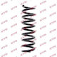 Kayaba Set Springs