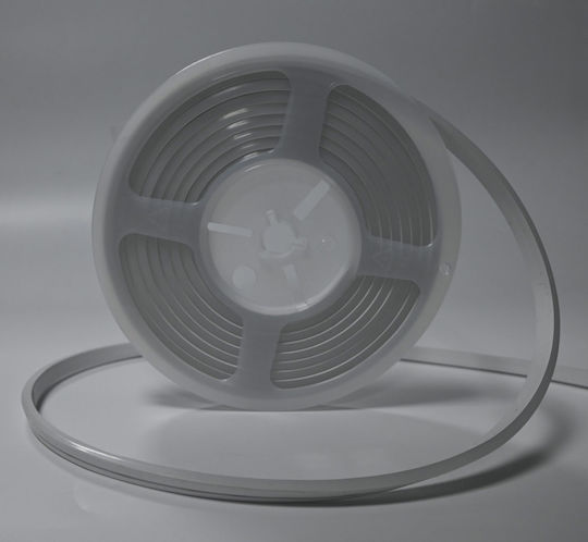 Optonica LED Strip 24V Natural White Light 5m Type COB