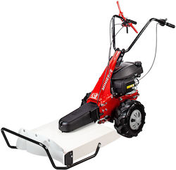 Eurosystems MINIEFFE Briggs n' Stratton Pe roți Pe benzină Tăietor de iarbă Eurosystems MINIEFFE Briggs n' Stratton Pe roți Pe benzină Tăietor de iarbă