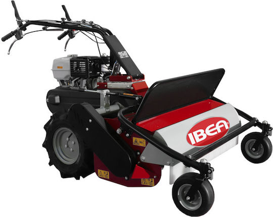 IBEA IB-650 PRO Motordriving Zerstörer Benzin 8.4hp