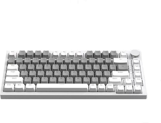 Ajazz AK820 Gaming Mechanical Keyboard Tenkeyless with Illuminated keys (English US) White