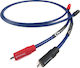Chord Aray 0.5m RCA male Cable