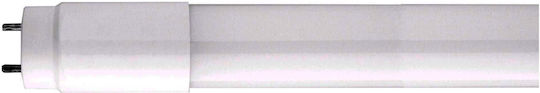 Avide LED Bulb 18W 120εκ. for Socket G13 Warm White 110lm