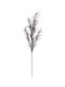 Sucursala Pampas Colorată 100cm 0939428 Gri Închis