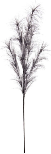 Sucursala Pampas Colorată 100cm 0939428 Gri Închis