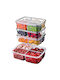 Set Plastic Transparent Lunch Boxes 21x15cm 4 Pieces