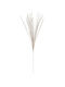 Κλαδί Τύπου Pampas Πολυεστερικό 71cm 0975270
