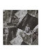 Celestino Damen Schals & Stolen Design Schwarz