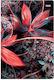 Contax Daily Diary 2026 Pink Flowers 14x21cm 57728