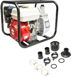 Pompa Electrică De Suprafață 6.5 CP Pompa Electrică De Suprafață 6.5 CP