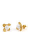 George Art Jewels Earrings made of Silver Gold Plated with Pearls