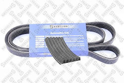 Alternator Belt 6pk1565 Citroen Berlingo Nemo Xsara/Fia Fiorino Peugeot 206 Bipper Partner/Toyota Avensis Corolla Stellox 0601565sx-11105 Alternator Belt 6pk1565 Citroen Berlingo Nemo Xsara/Fia Fiorino Peugeot 206 Bipper Partner/Toyota Avensis Corolla Stellox 0601565sx-11105