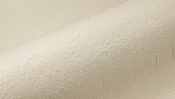 Ανάγλυφο Ρολό Liner Relief Sand 25mx1.65m=41 25m2