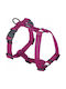 Chaba Chaba Guard L Harness Blue 35-60 50-75 2.5cm