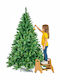 Christmas Tree Canberra 180cm with 750 Branches