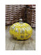 Pumpkin Plaster Medium 11.3 X 9.5cm Yellow