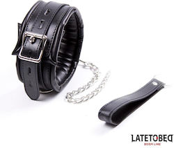 Padded Collar Leash