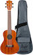 Flight Nuc250 Akazien Konzert Ukulele Naturally
