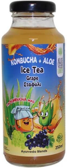 Aloe Vera Earth Κομπούχα σε Σκόνη 250ml