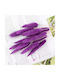 Декоративно перо Зайешка опашка Purple 60бр Diosera
