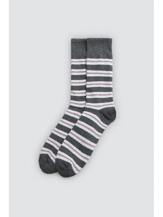 Ysabel Mora Women's Socks Gray