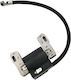 Ignition Briggs&stratton 843931