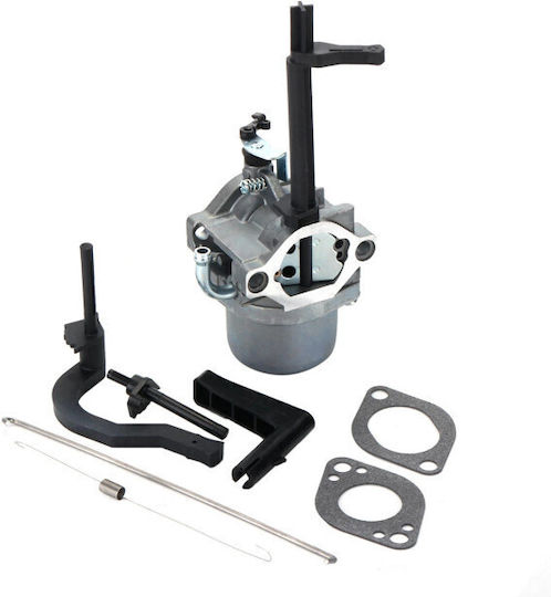 Carburetor Briggs&stratton 591378 699966 699958