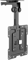 Gembird CM-43ST-01 Βάση Τηλεόρασης Οροφής έως 43" Gembird CM-43ST-01 Βάση Τηλεόρασης Οροφής έως 43"