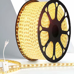 Christmas Light Tube Warm White 220V 48 Light B...